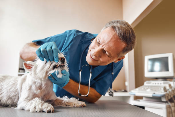 Best Emergency Root Canal Treatment in Avon, IN
